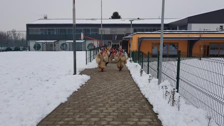 Kurenti obiskali tudi Občino Razkrižje 1